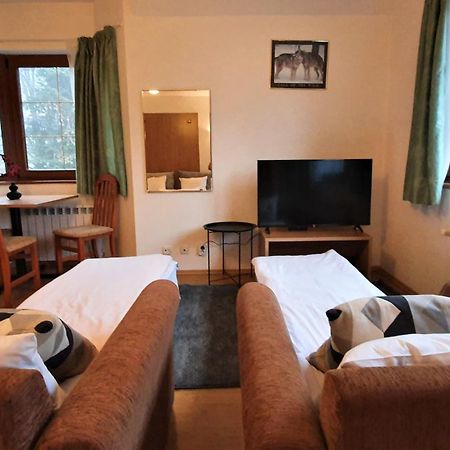 Kokiche Private Apartments Borovets Værelse billede